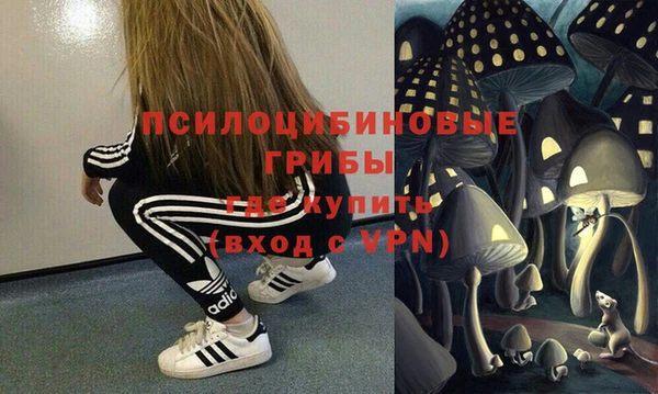 бошки Бронницы