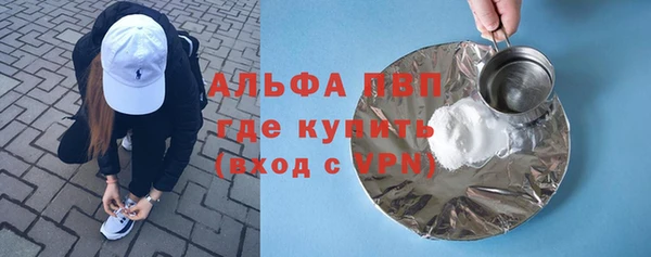 мдпв Бородино