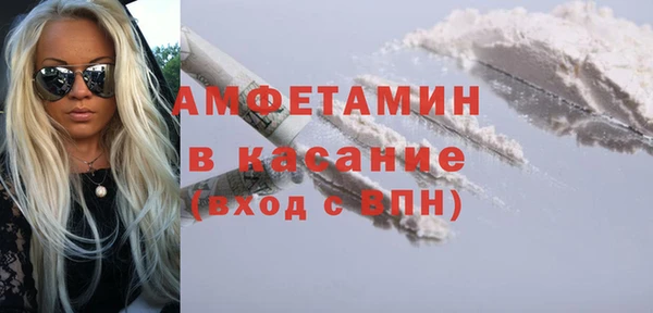 мдпв Бородино
