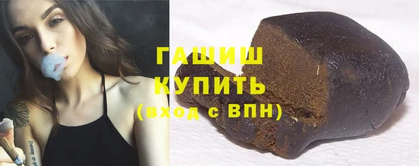 мдпв Бородино