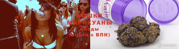 бошки Бронницы
