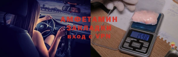 мдпв Бородино