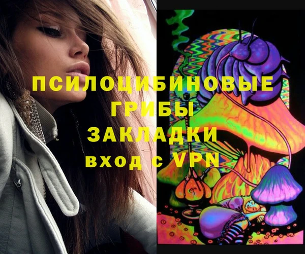 мдпв Бородино