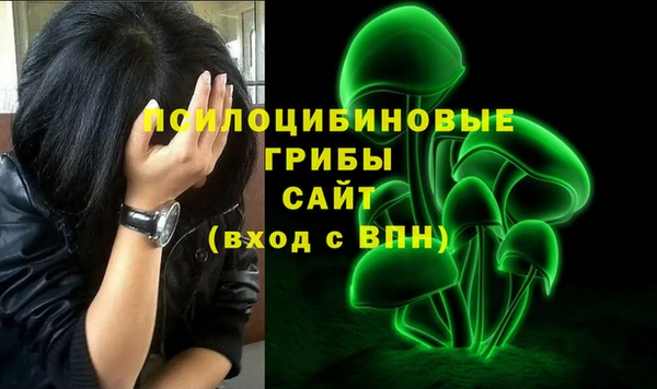мдпв Бородино