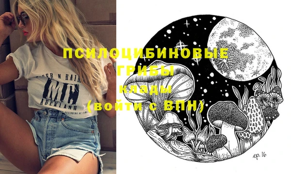 мдпв Бородино