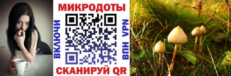 Галлюциногенные грибы прущие грибы  хочу наркоту  Подольск 